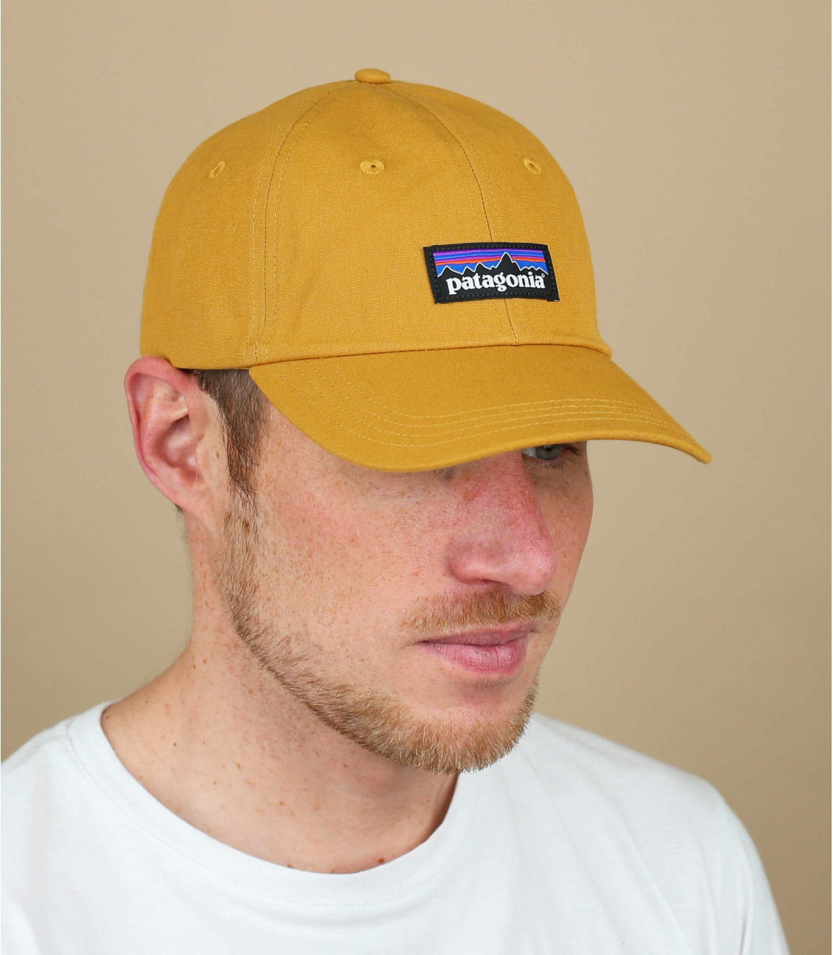 p 6 label trad cap patagonia